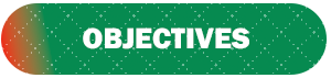 Objectives icon