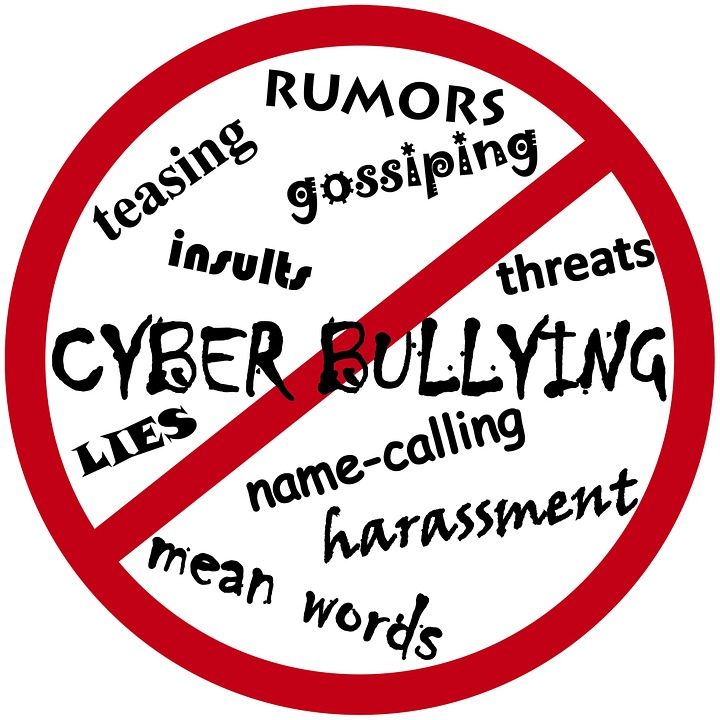 No Cyberbullying